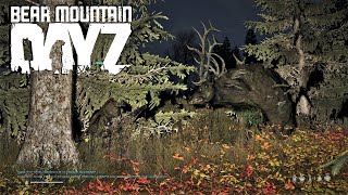 Halloween Week SPECIAL | Bear Mountain | DayZ