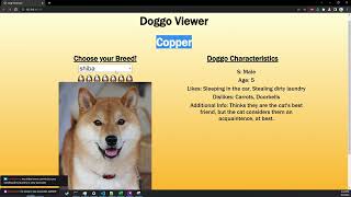 Let's Build A Doggo Generator!