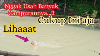 CUKUP PAKAI INI!!MANCING BAWAL?? UMPANNYA JANGAN BANYAK CAMPURAN!!Umpan bawal paling jitu