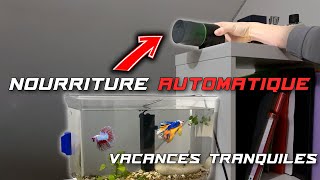 VACANCES Sans CRAINTE pour vos POISSONS (Distributeur Automatique)