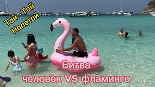 Битва человека и розового фламинго остров Рача Яй Тайлан