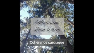 Méditation - Bain de forêt en Autriche #meditation #coaching #emotions