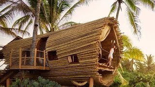 The Incredibly Luxurious Bamboo Treehouse, Playa Viva, Juluchuca, Mexico