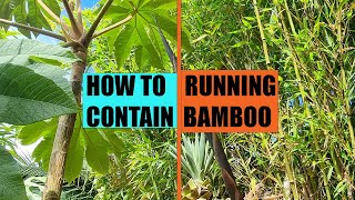 How to contain running bamboo