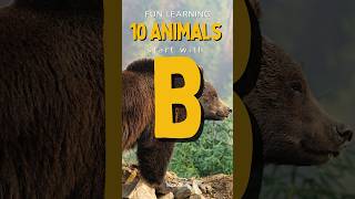 10 Brilliant Animals Starting with ‘B’! #shorts #lalalikidstv #animalshorts