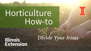 Horticulture How-To - Divide Your Irises