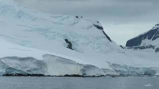 Part 2 Celebrity Eclipse Jan 25th 2020 Antarctica Cruise: Paradise bay