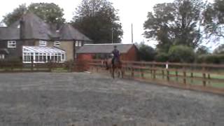 interdressage starter 4