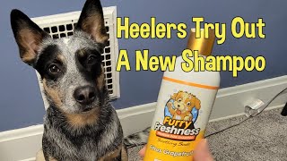 FurryFreshness Citrus Grapefruit Premium Dog Shampoo Review