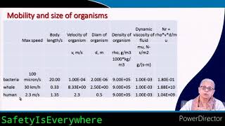 Lecture 38. Cell Biology. #SafetyIsEverywhere #EnvironmentalChemistryandMicrobiology #Biology #HSE