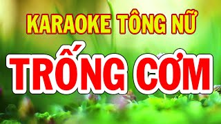 Karaoke Trống Cơm Tông Nữ Thành Lý Organ