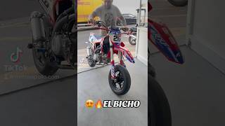 🚀El Bicho🤯Pitbike 190cc RXF ROAN 👉🏾Motosapollo.com #rxf #190cc #roan #motosapollo #bikelife