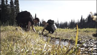 Sourdough Gap and Mountain Lakes