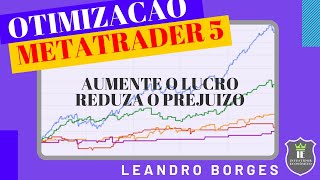 Otimizacao de estratégias no Metatrader 5 / Strategy optimization in Metatrader 5