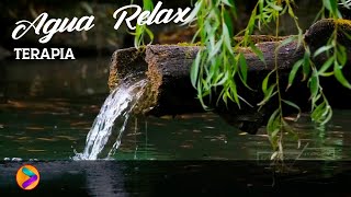 Cascada Relax # 6 Hermoso Canto de Pájaros-Celestial Sonido de Agua-Muy Relajante-.🐦🦜💦