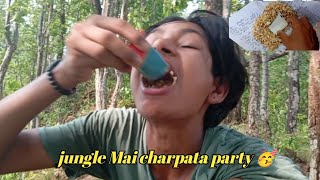 Jungle mai charpata party 🥳 Daily vlogs #youtube #viral #funny #foryou #vlog #rudraprasadsigdel