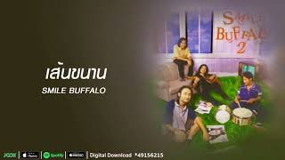 เส้นขนาน | Smile Buffalo