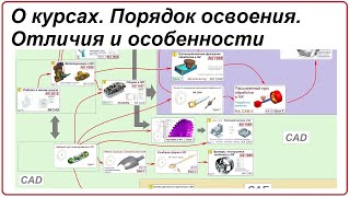 О курсах. Порядок освоения. Отличия и особенности