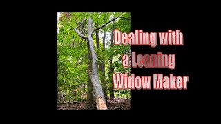 Dealing with a Leaning Widow Maker #shorts