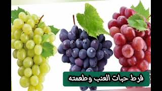 فوائد 🤓❤️العنب🍇🍒 المشكل💐🤓🍇 وطعمه اللذيذ 🤩💖👍🍇🍇