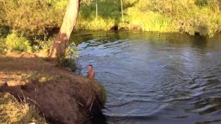 Тарзанка Backflip of a jump rope