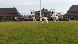 PENAMPILAN PENCAK SILAT .APEL SATU INDONESIA