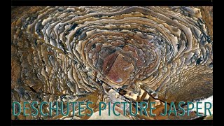 DESCHUTES PICTURE JASPER- An Almost Extinct American Classic! Biggs Junction, Oregon, Rare Minerals