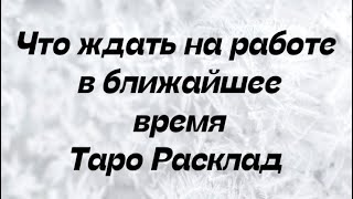 Что ждать на работе в ближайшее время. Таро