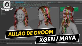 Boas práticas no XGen [Maya] #groom #xgen