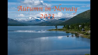 Autumn in Norway 2023   #norge #norway