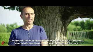 Entdecken Sie getrocknete Maulbeeren | Nuturally #maulbeeren #trockenfrüchte