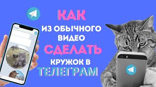 Как из обычного видео сделать кружок в телеграм? #телеграм