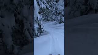 Deep powder at Brighton #shorts #funny #fyp #sick #tricks #utah #skiing #powder #brighton