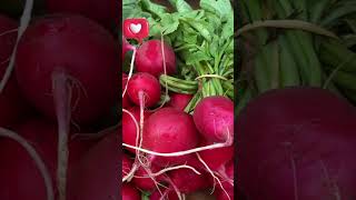 Turnip Farming  #modernkheti #shortvideo #vegetables whatsapp 9814388969