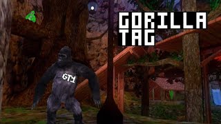 I Destroyed A Gorrila Tag Lobby...