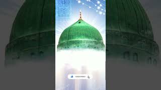 beautiful islamic tiktok video #tiktok #youtubeshorts #islamicstatus #shorts #status