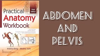 Anatomy practical filled workbook/ #Abdomen and #pelvic part 〽️