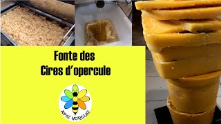 Fonte des cires d'opercule : fondoir et pains de cire