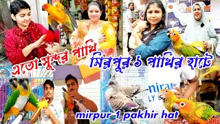 চমক করা সব পাখি | মিরপুর ১ পাখির হাটে | Persian cat price | how do but market Mirpur 1 | pakhi pagla