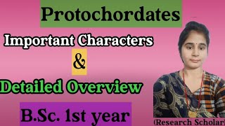 Protochordate | B.Sc 1st year Protochordate Important characters | Urochordates | Cephalochordates