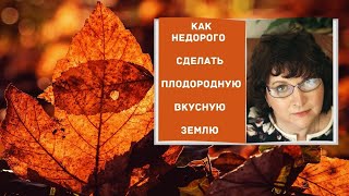 Как недорого сделать плодородную и вкусную землю