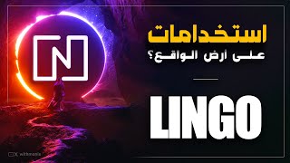 مراجعة مشروع LINGO - العملات الرقمية 2024