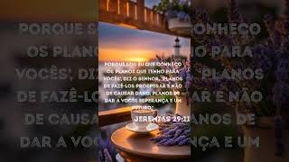 Jeremias 29:11 - Propósitos de Deus ao Som de Bruna Karla