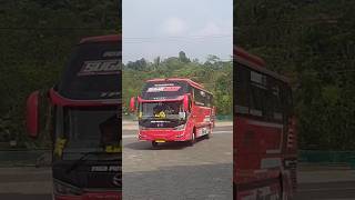 BUS TPTC SR2 HD PRIME X BASURI MASUK KE DALAM GERBANG FATIMAH ZAHRA #sorts