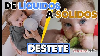 DESTETE + Alimentación Complementaria 🍽️👶 PASOS para un Destete Respetuoso