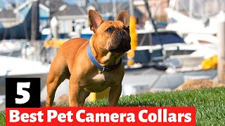 The 5 Best Pet Camera Collars