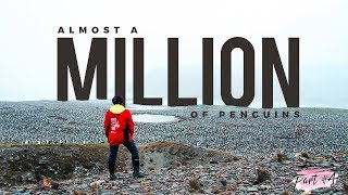 Surrounded by a MILLION of Wild Penguins! | Part 4 of 6 ~ Antarctica Expedition