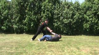 Front Wrist Grab Wrist Lock Self Defense