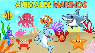 Explora el Mar! Conoce a los Animales Marinos Más Fascinantes 🐠🌊🐳 | Aprende con Gael y Owen