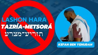 Combatendo a lashon hara (Parashá Tazría-Metsorá) #torah #judaísmo #parashá